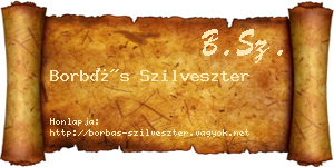 Borbás Szilveszter névjegykártya